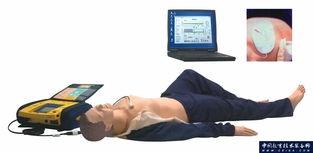 上海同育 专注医学教学模型，助力现代化医学教育